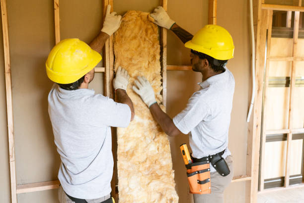 Best Insulation for New Construction  in Linden, NJ